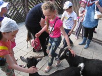 /album/fotogalereya/img-5817-1-jpg/